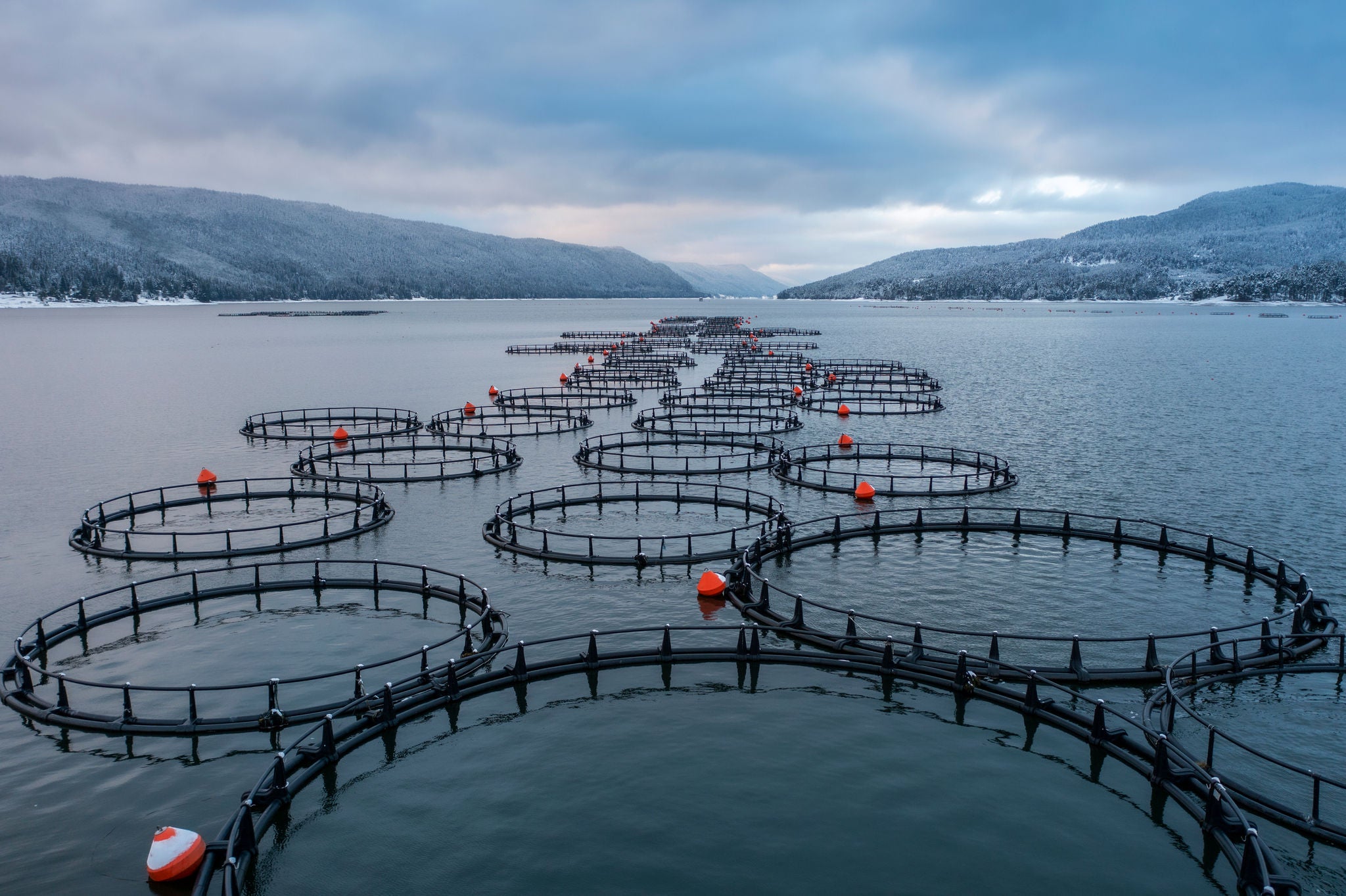 Aquaculture