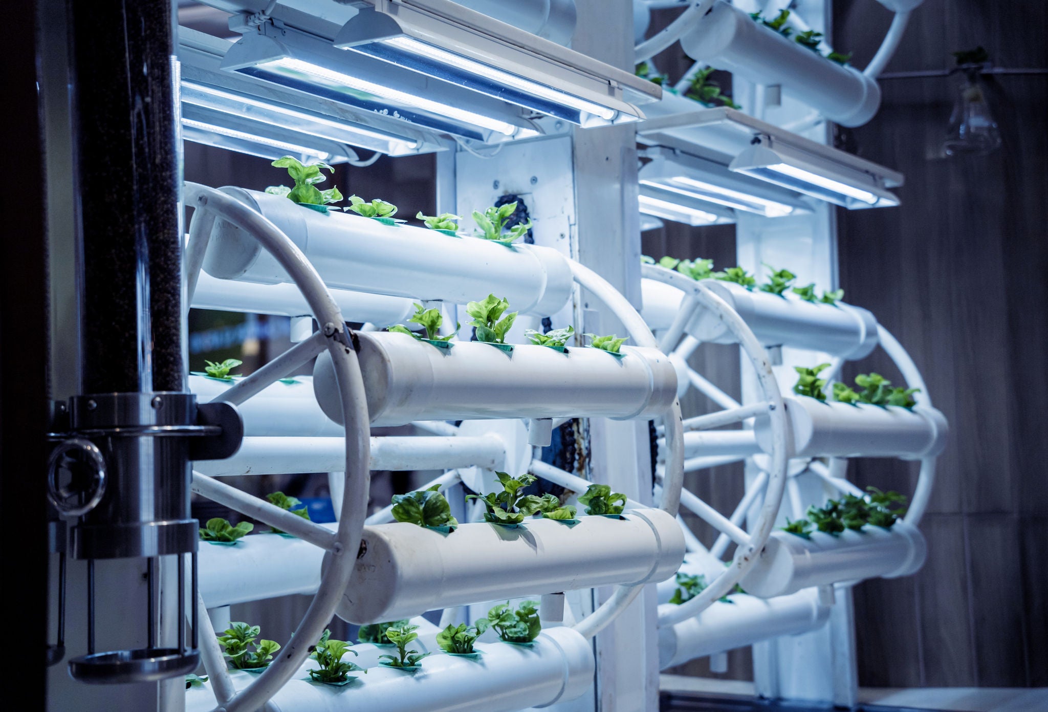 aftea vertical farming